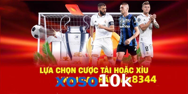 Danh mục đa dạng, đoán chuẩn là nhận tiền