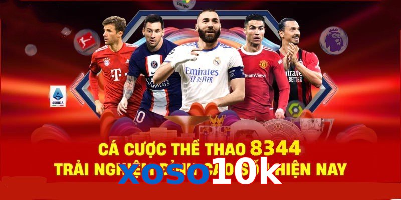 Đá Gà Philippines – Tinh Hoa Truyền Thống Và Thể Thao 